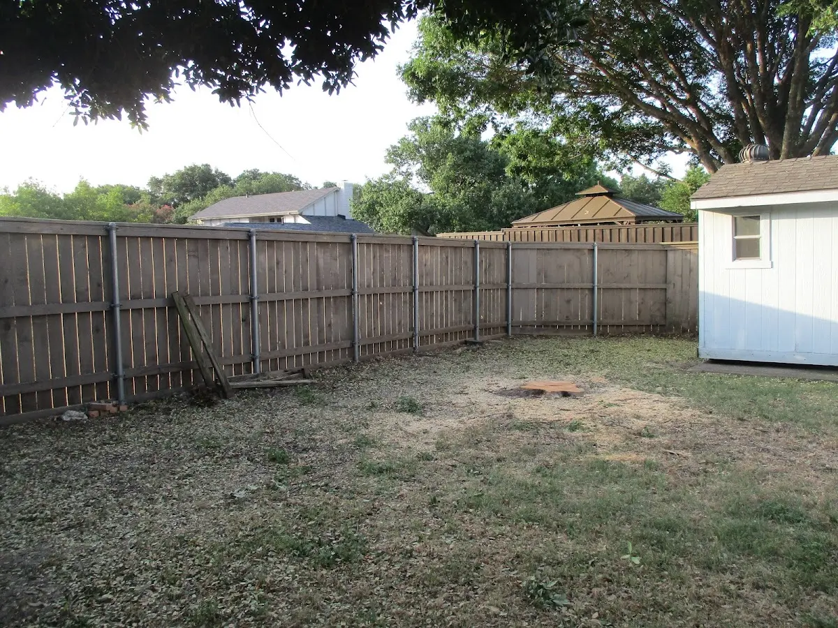 Cleared yard after professional tree removal in Cranesville